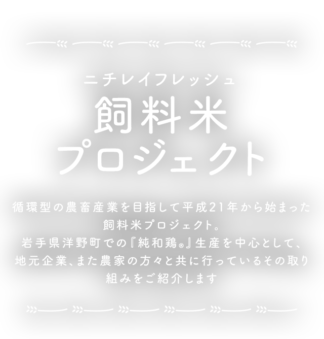 ニチレイフレッシュ 飼料米プロジェクト 循環型の農畜産業を目指して平成21年から始まった飼料米プロジェクト。岩手県洋野町での「純和鶏」生産を中心として、地元企業、また農家の方々と共に行っているその取り組みをご紹介します