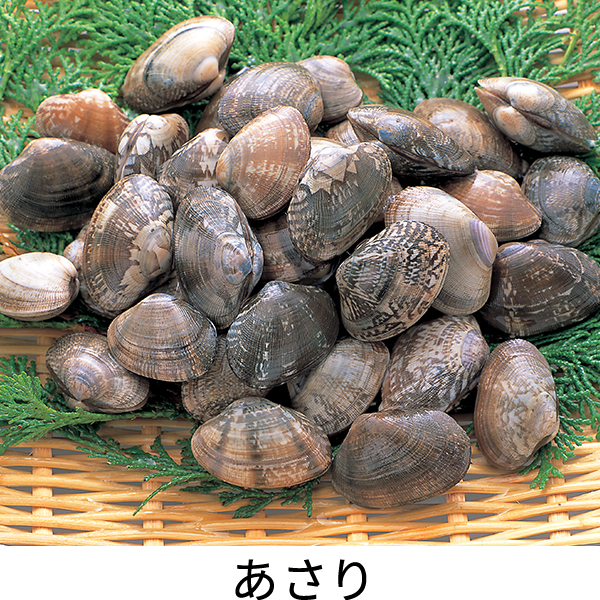 ニチレイフレッシュ