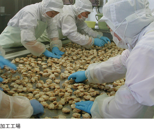 ニチレイフレッシュ