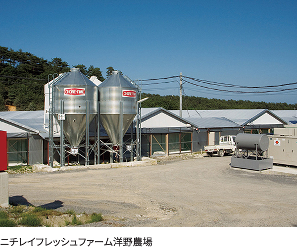 純鶏 平飼い純国産鶏 | 蓮ヶ峯農場