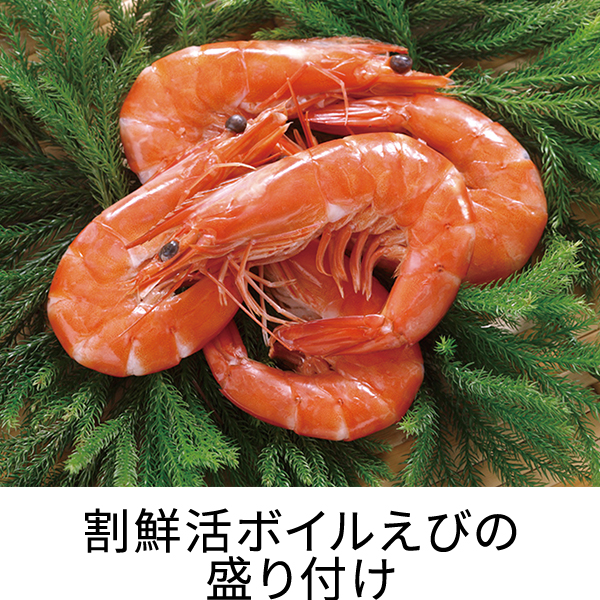 生き生き海老 尾付伸ばし海老バナメイ 21/25: 水産品 KANTO EXPRESS