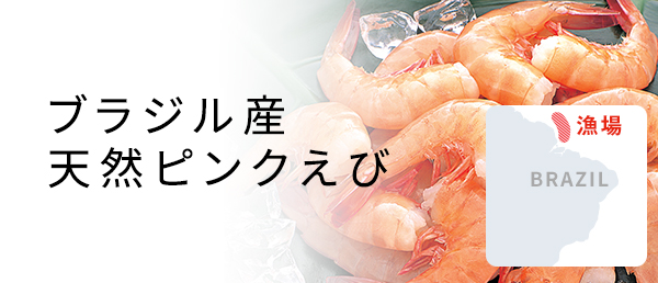 ニチレイフレッシュ ニチレイフレッシュ