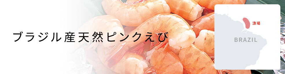 ニチレイフレッシュ ニチレイフレッシュ