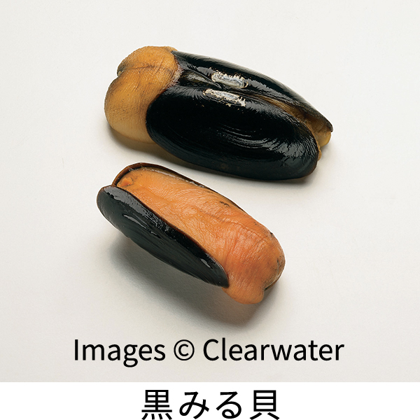 ニチレイフレッシュ