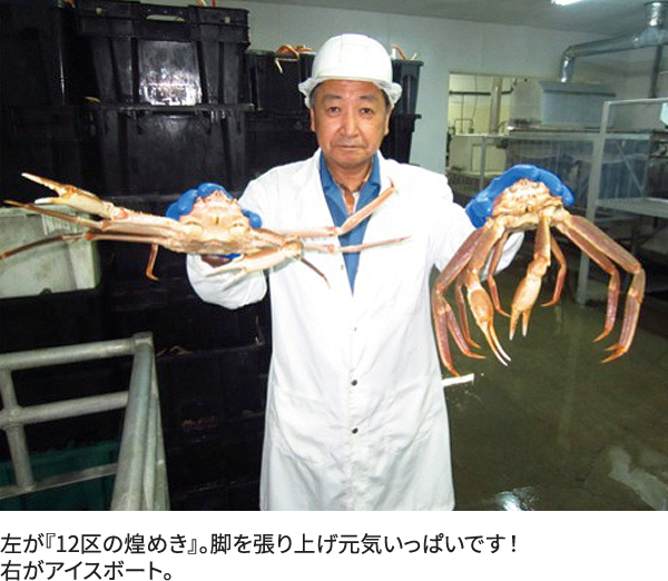 ニチレイフレッシュ