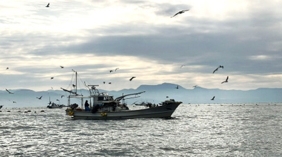 ニチレイフレッシュ