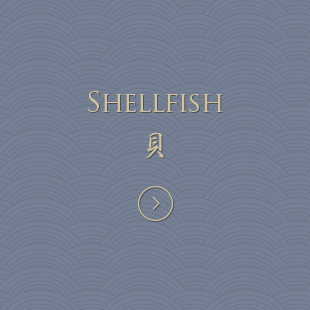 SHELLFISH 貝