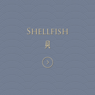 SHELLFISH 貝