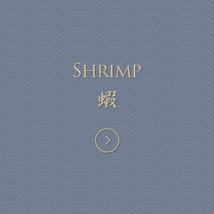 SHRIMP 蝦
