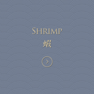 SHRIMP 蝦
