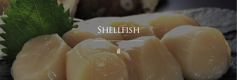 SHELLFISH