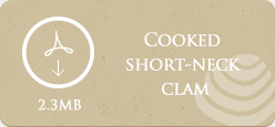 Cooked short-neck clam