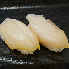 SLICED WHELK MEAT ツブ貝スライス