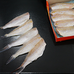  GOLDEN THREADFIN-BREAM FILLET イトヨリ鯛開き