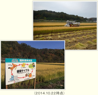 i2014.10.22_j