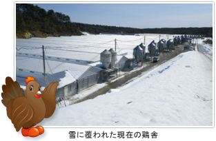 雪に覆われた現在の鶏舎。